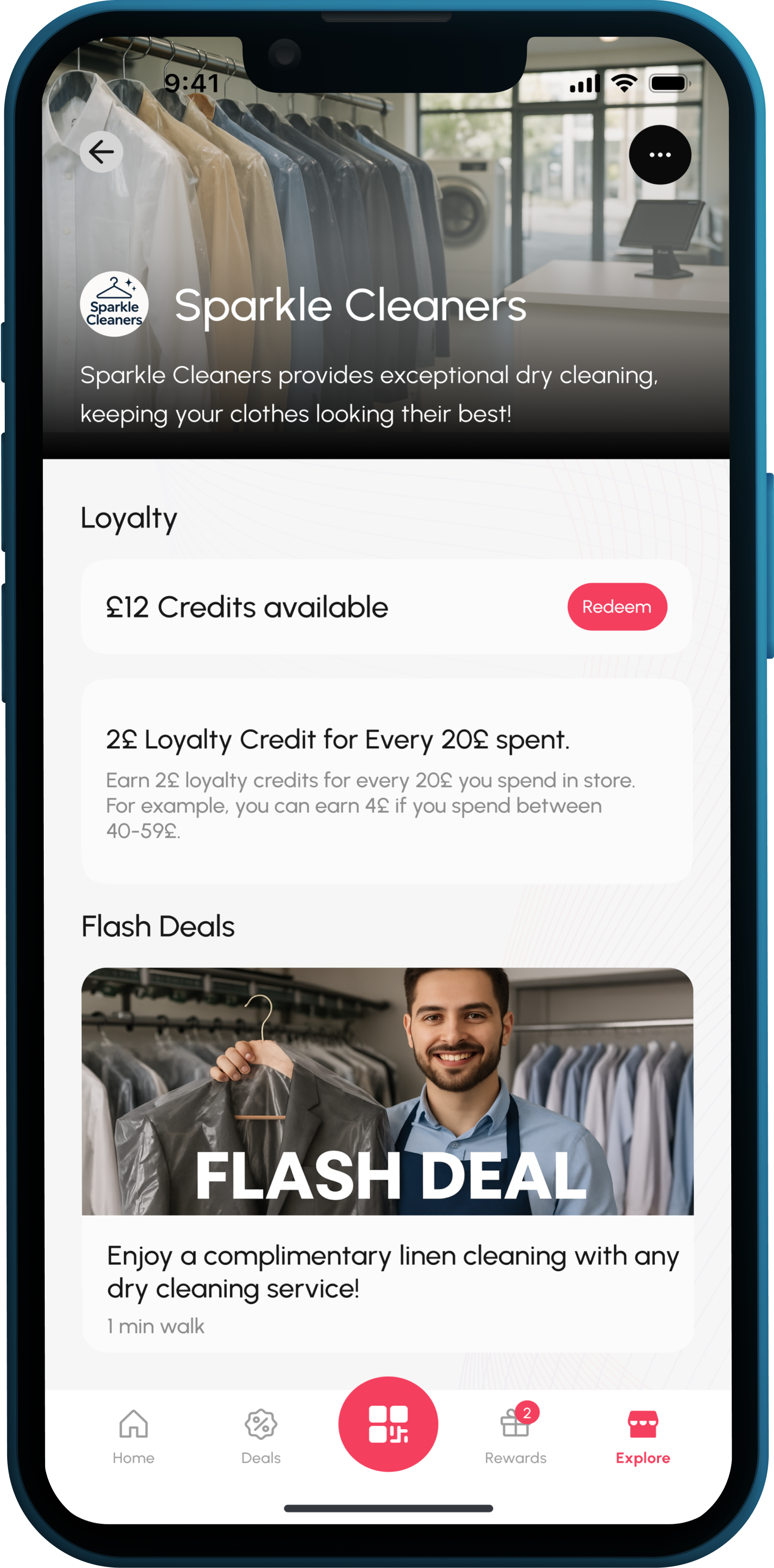 LocalPal Dry Cleaners Club Interface